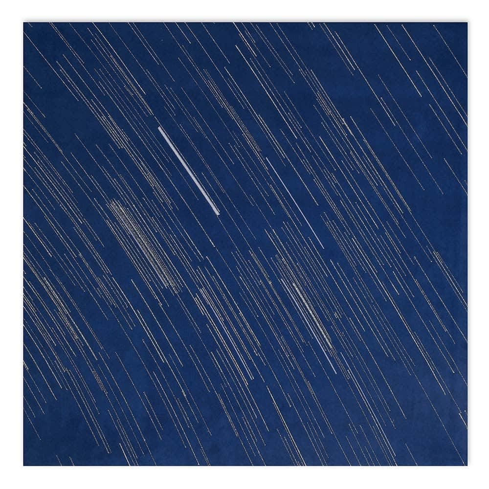 Chen Hui-Chiao 陳慧嶠, The Silver Dust #2 銀塵 #2, 2008