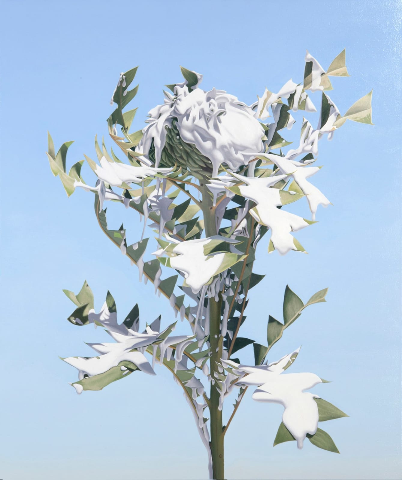 Juan Ford, Lull, 2019