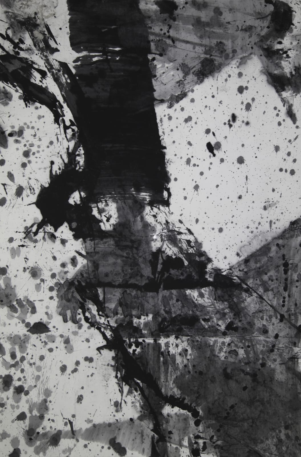 Lan Zhenghui 藍正輝, F330 Attempt F330 躍式, 2015