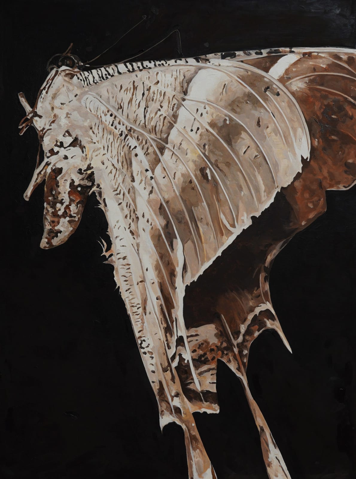 Tang Kwong San 鄧廣燊, Lyssa Zampa 大燕蛾 , 2022