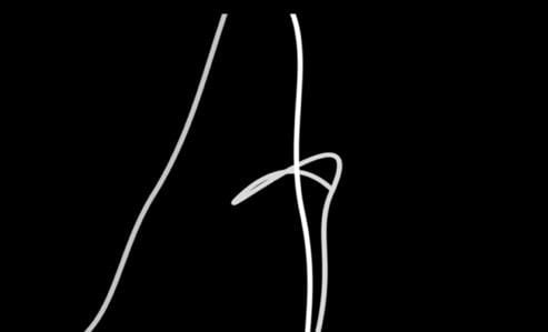 Tsang Kin-Wah 曾建華, Movement No. 2, 30th December, 2020