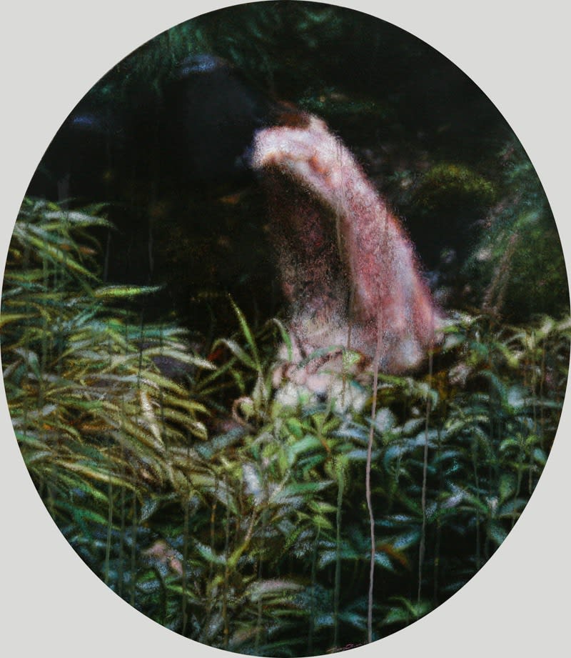 Jiang Chuan 姜川, Castle in the Air III 夢尋III, 2013