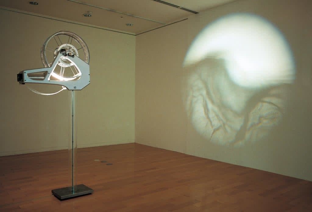 Wu Chi-Tsung 吳季璁, Wire II 鐵絲網 II, 2003