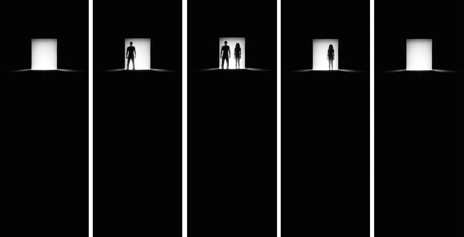 Roland Biermann, Apparition 38, 2009