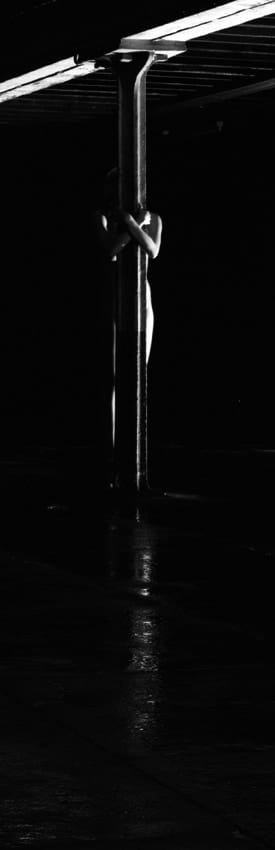 Roland Biermann, Apparition 32, 2006