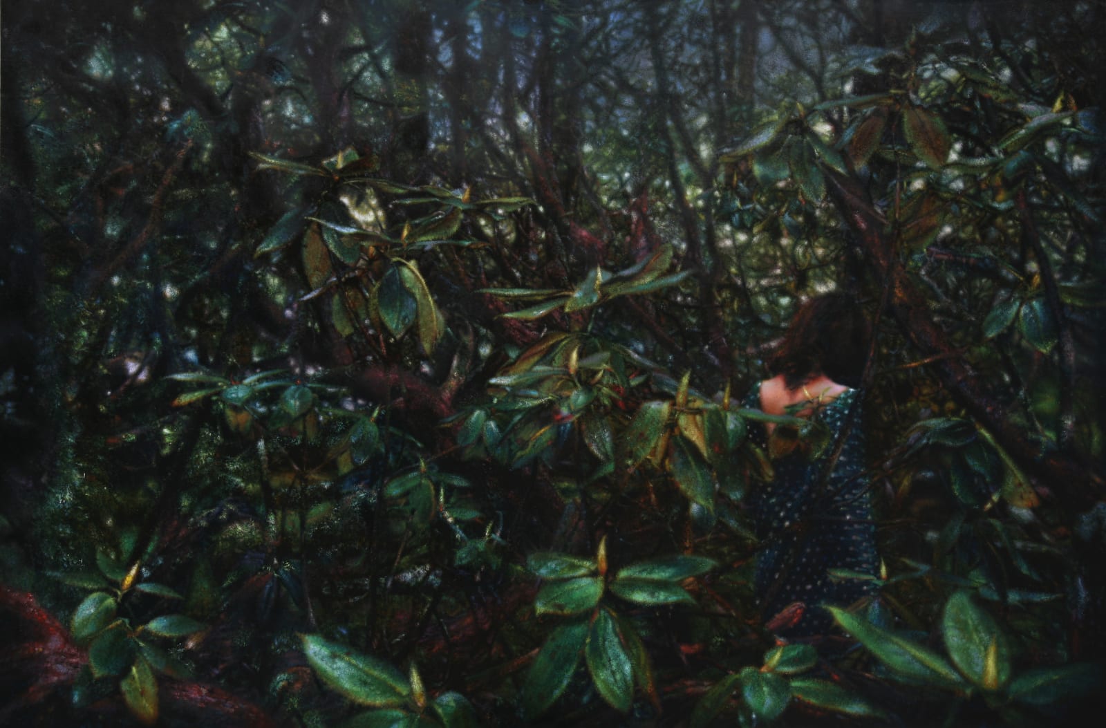 Jiang Chuan 姜川, Spirit of Life 生命中的精靈, 2012