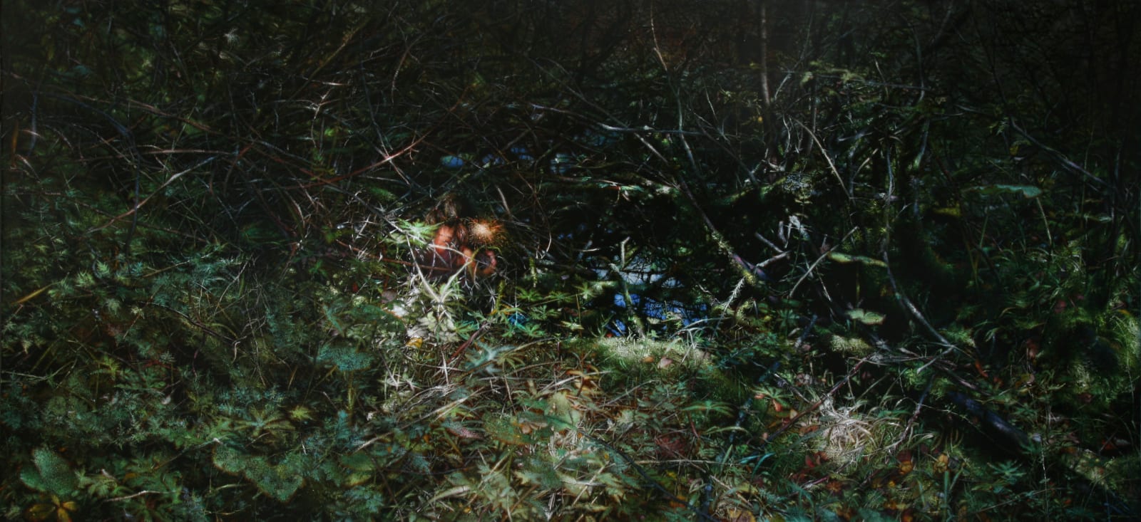 Jiang Chuan 姜川, Tangled 照亮的只有周身的荆棘, 2013