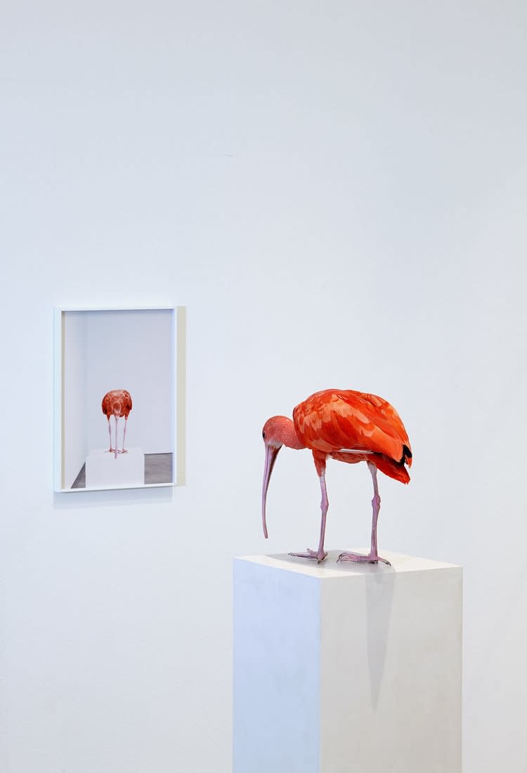 Michael Müller, Spiegelwächter, 2013