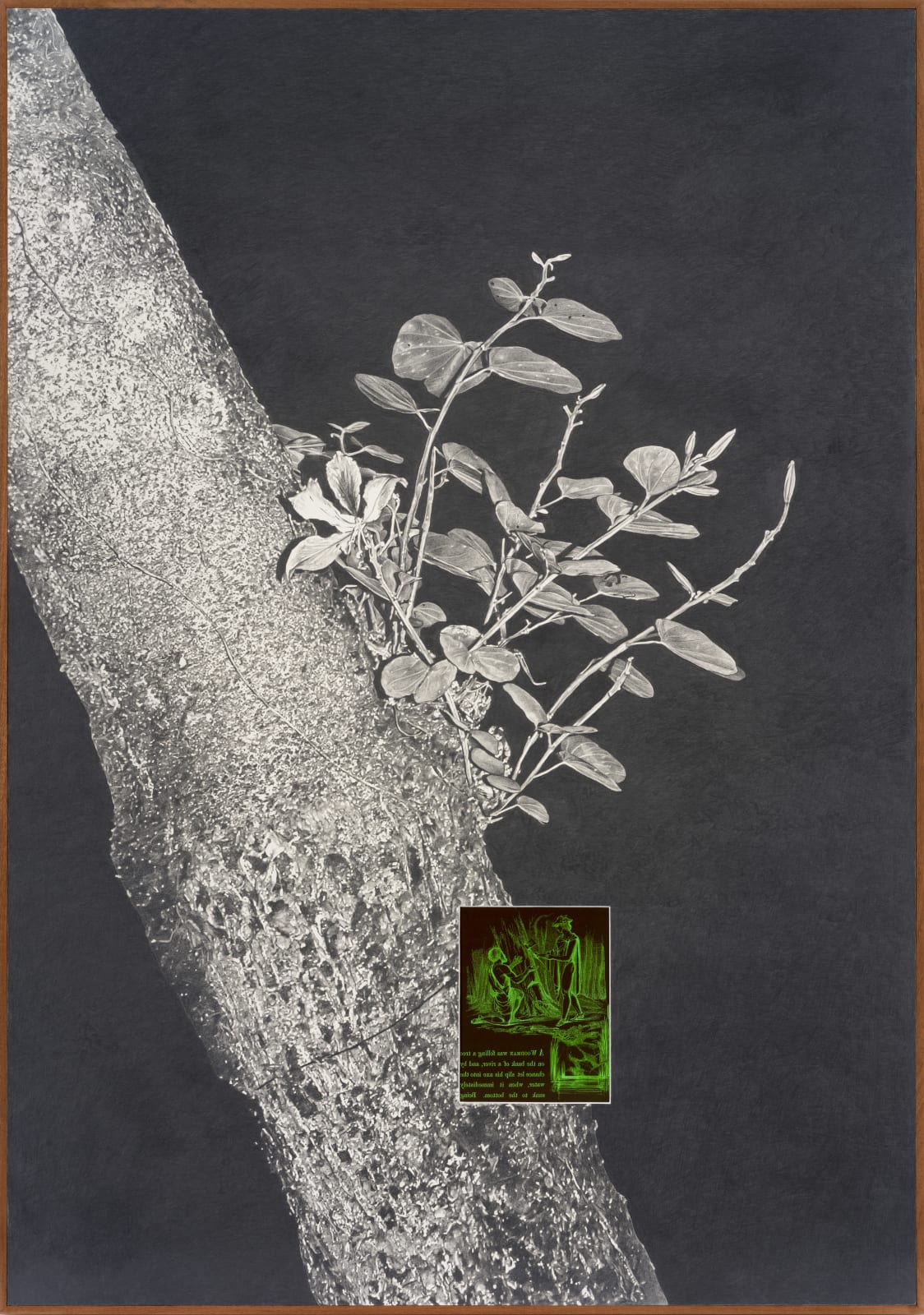 Tang Kwong San 鄧廣燊, Rootstock I 砧木 l, 2024