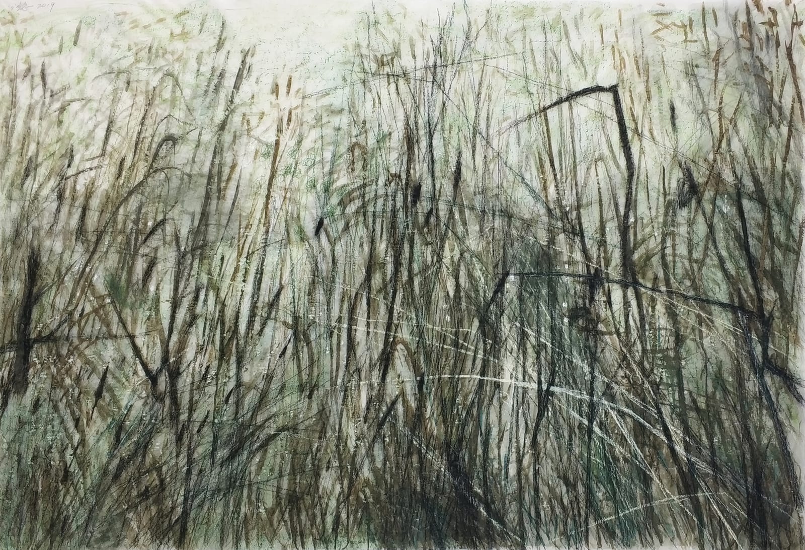 Wang Gongyi 王公懿, Leaves of Grass No. 6 草葉集之六, 2019