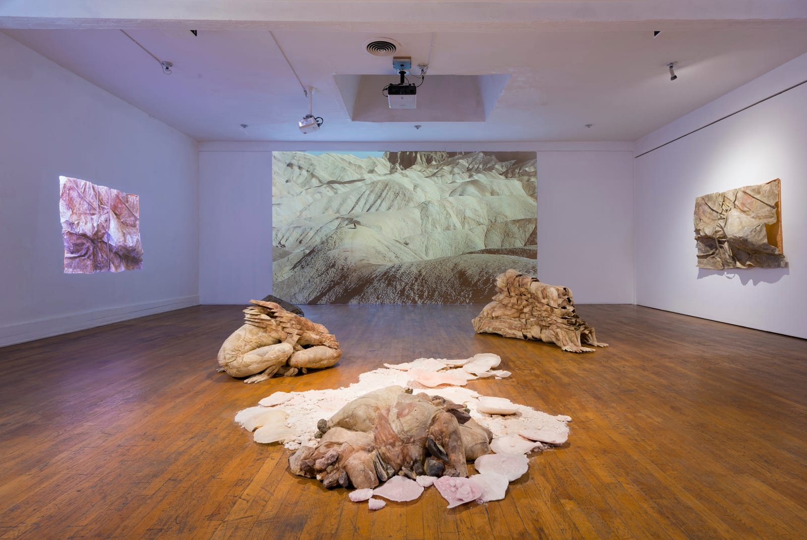 Katie Grinnan, Electric Data Wave Serenade / Dissolving the Rock, 2017-2018