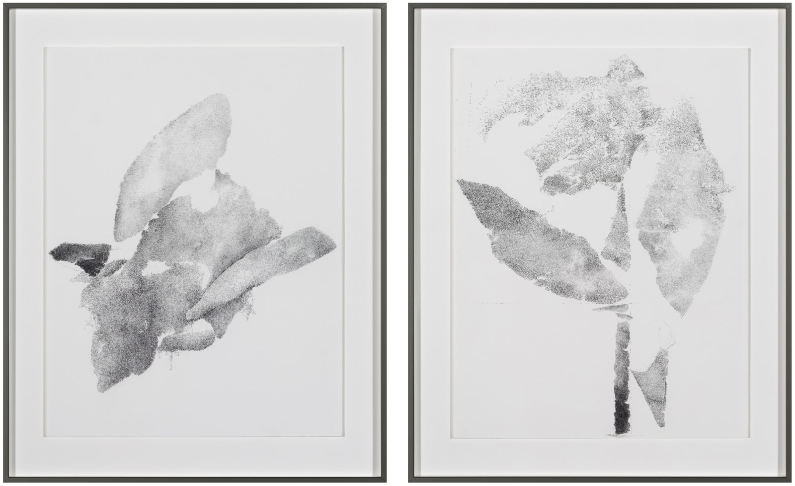 Michael Müller, Plural als Solitär, Nr. 1 and Nr. 2, 2017