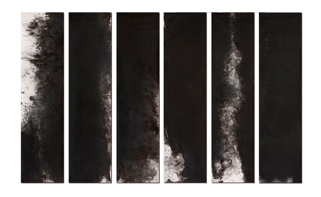 Li Hao 李皓, Guaxiang 卦象 No. 15 一革, 2013