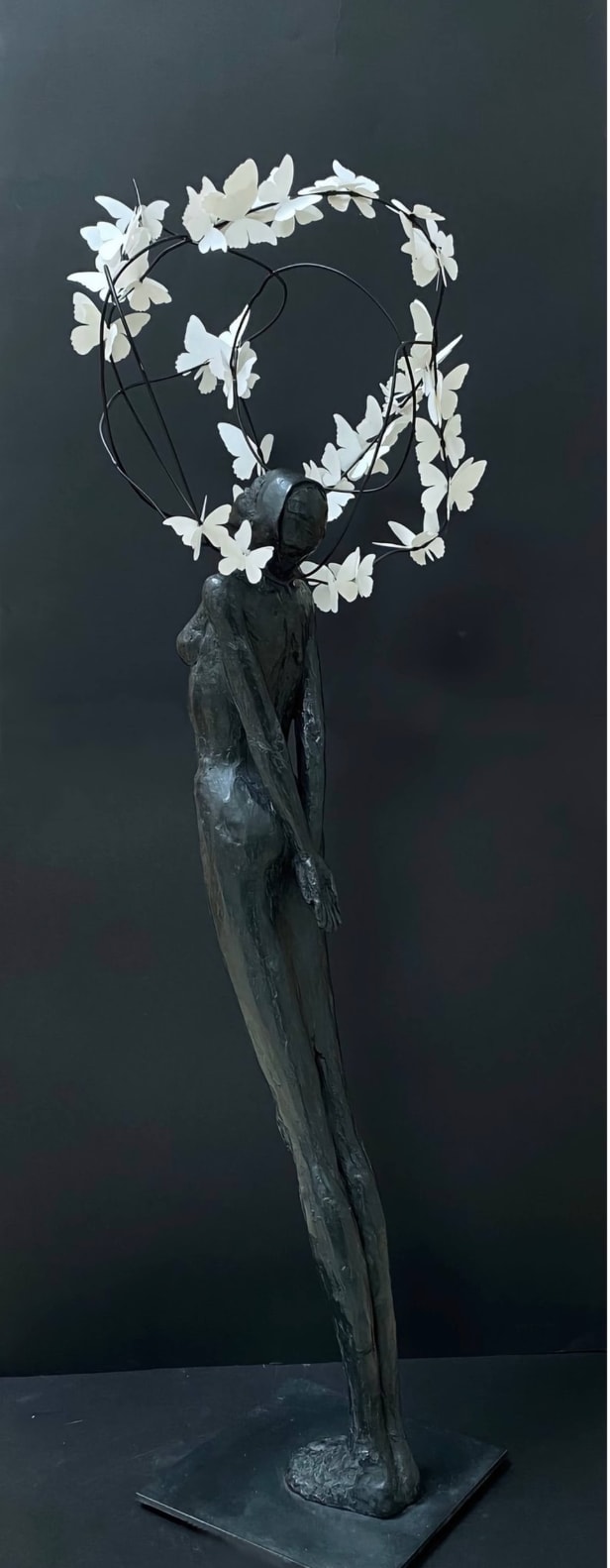Laurence Perratzi, Fly away, 2024