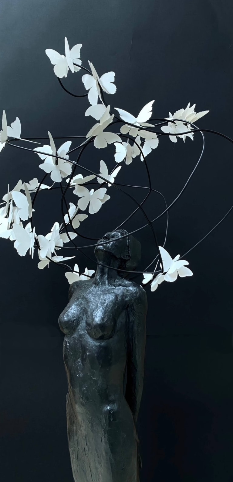 Laurence Perratzi, Fly away, 2024