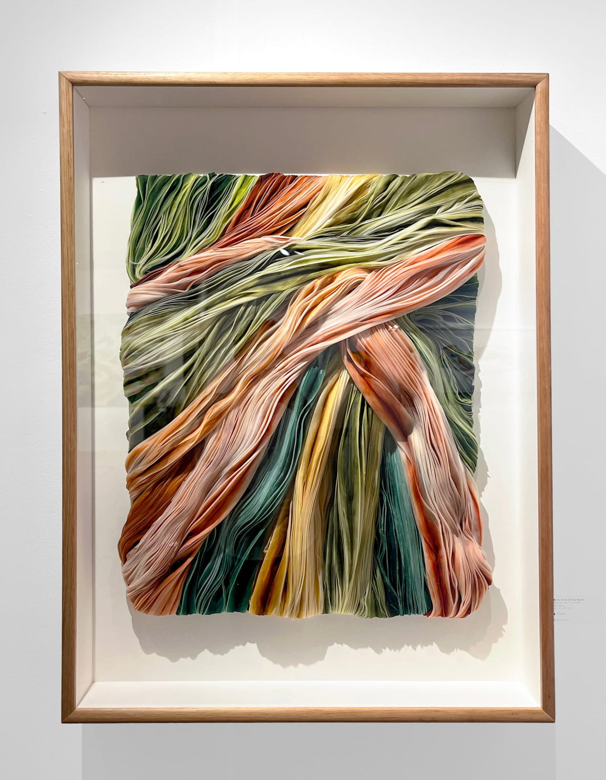 Karen Davis & Pepa Martin, Fruit salad 2 , 2025