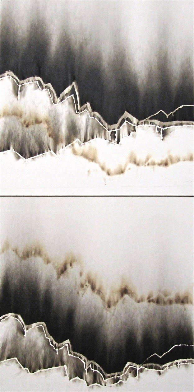 CHRISTIAN JACCARD, Indices comparés, diptyque , 2000