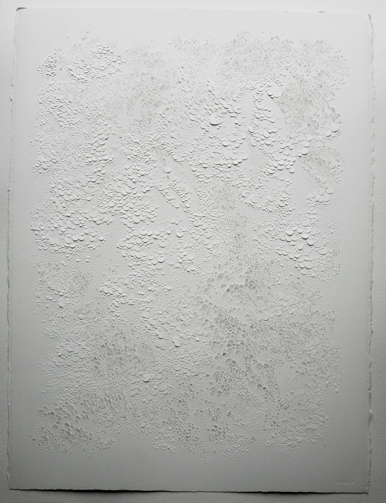 LAUREN COLLIN, Sans Titre, 2016