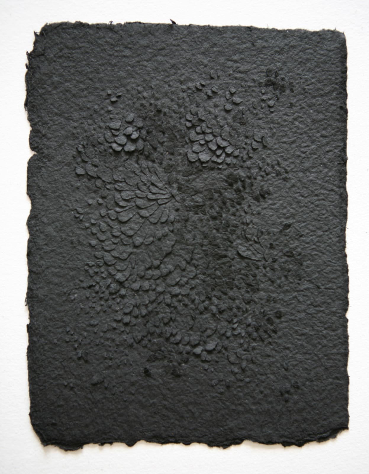 LAUREN COLLIN, N Untitled III , 2016