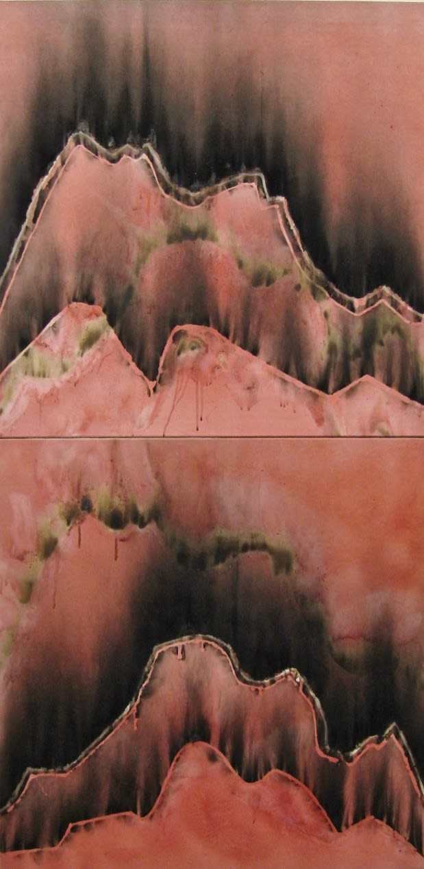 CHRISTIAN JACCARD, Indices comparés, diptyque, 2000