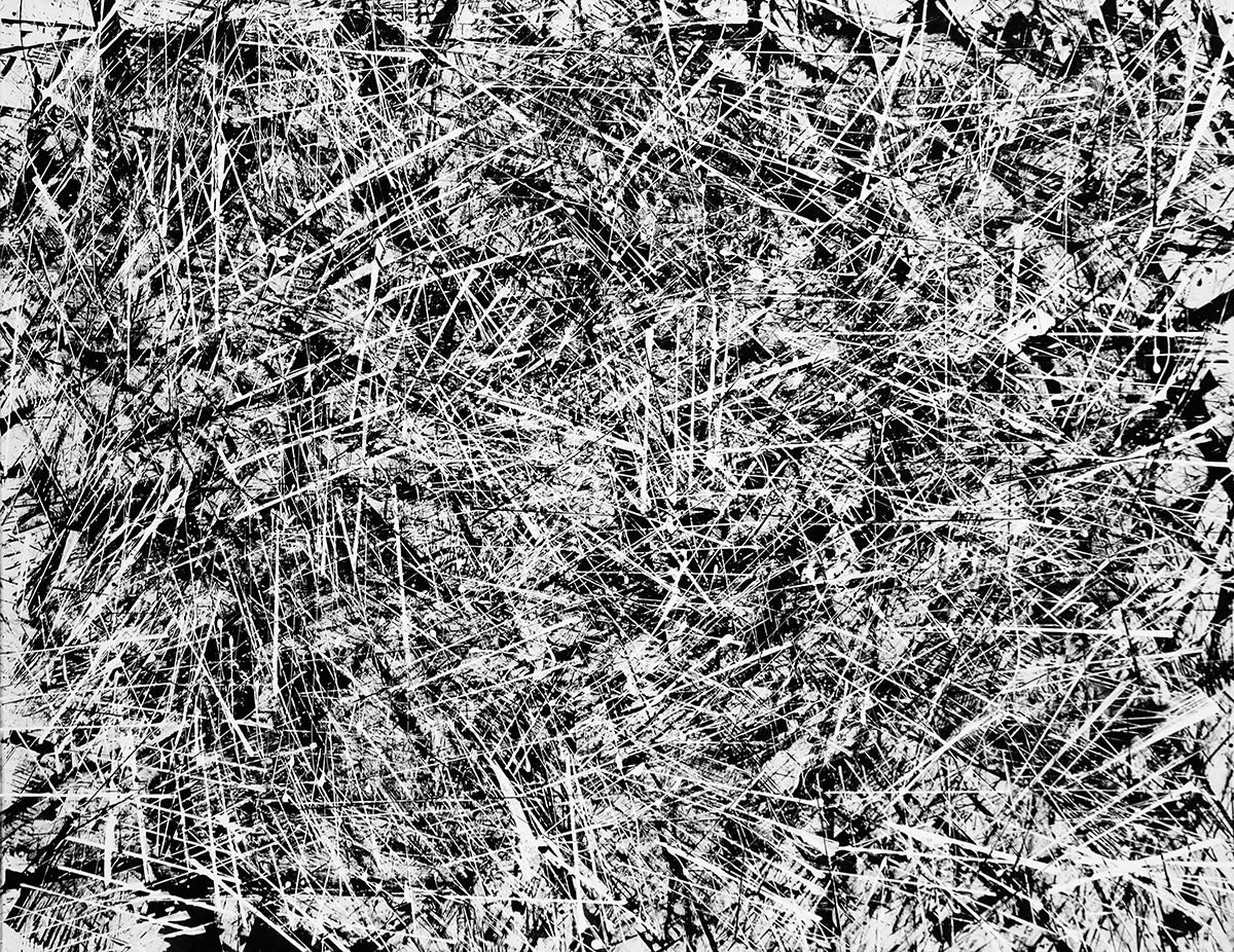 PIPPO LIONNI, 20171128 43°11°, 2017