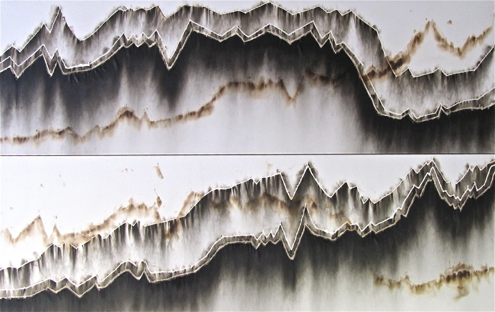 CHRISTIAN JACCARD, Differentiel de croissance, diptyque, 2000