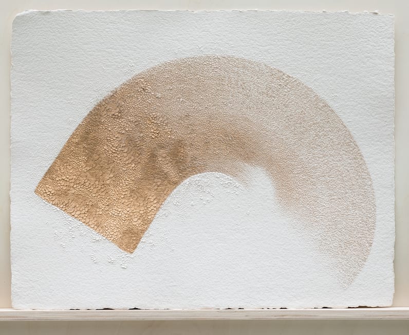 LAUREN COLLIN, Sans Titre , 2021