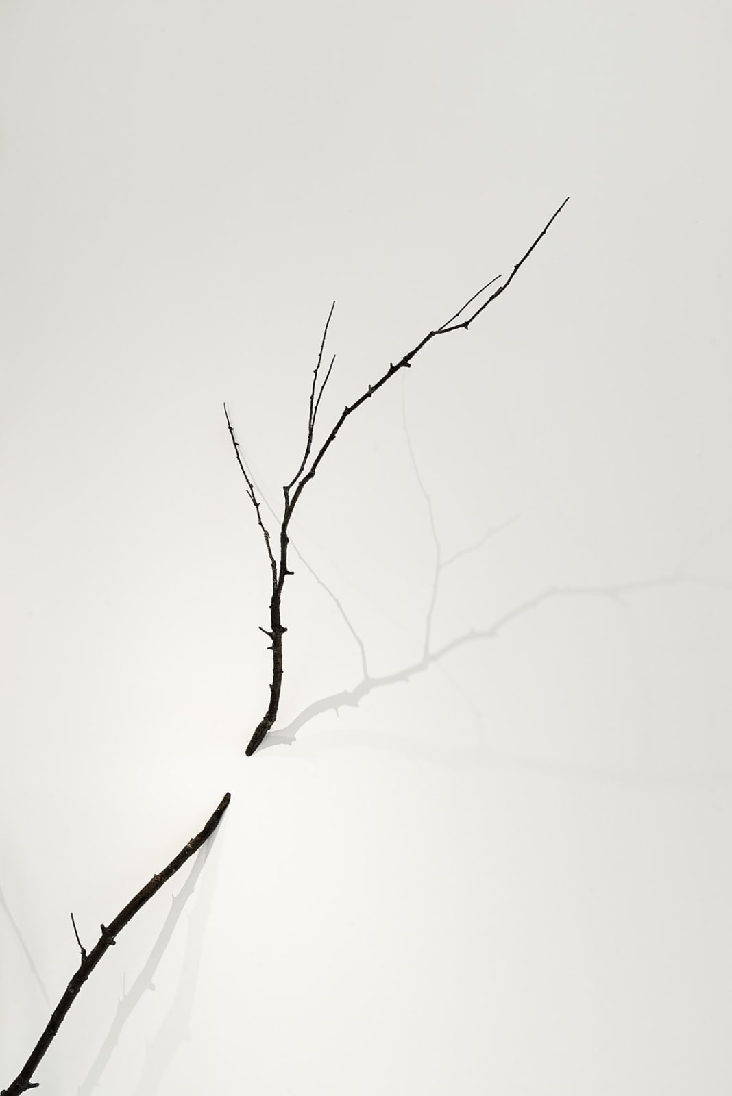 CRISTINA ALMODOVAR, INTERSECTION, 2025