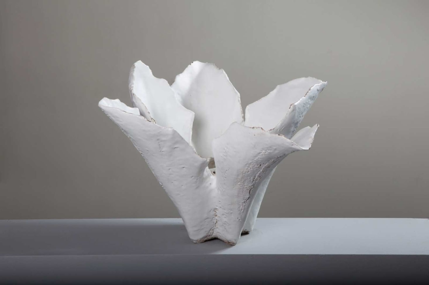 White Form D