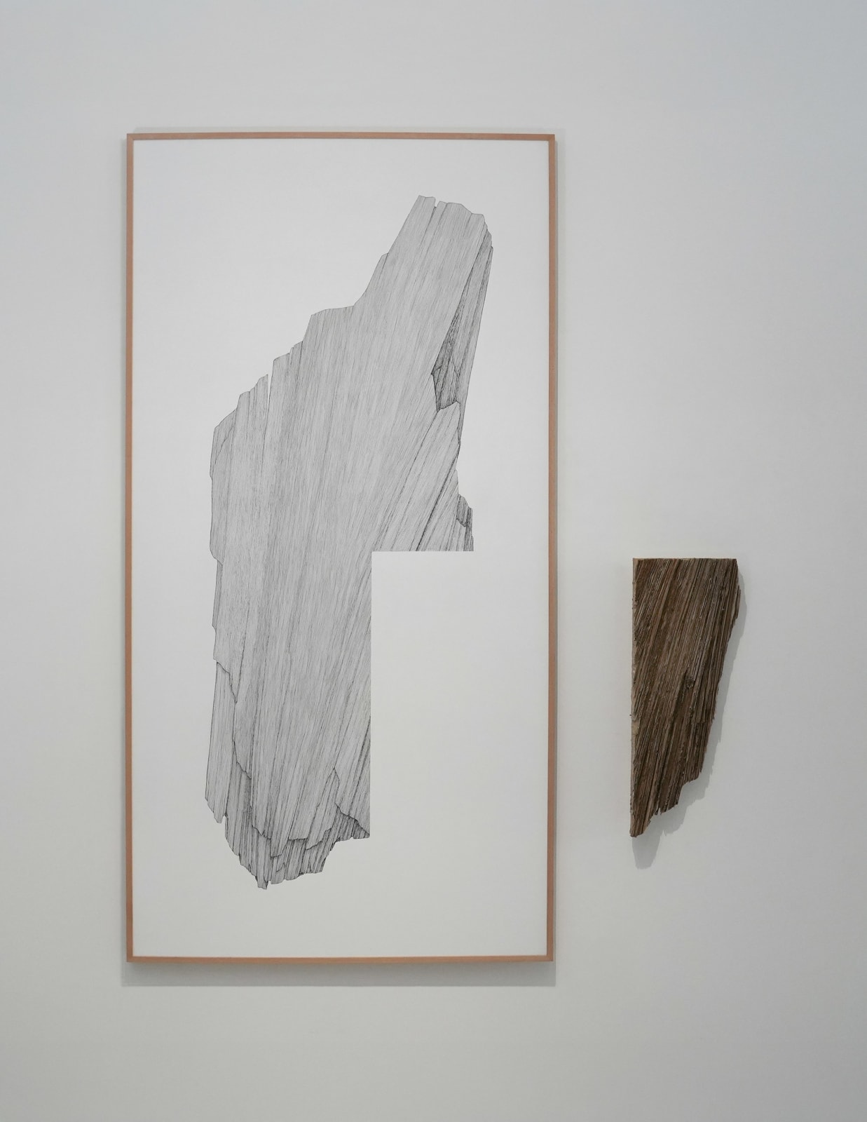 CRISTINA ALMODOVAR, LE VIDE, 2025