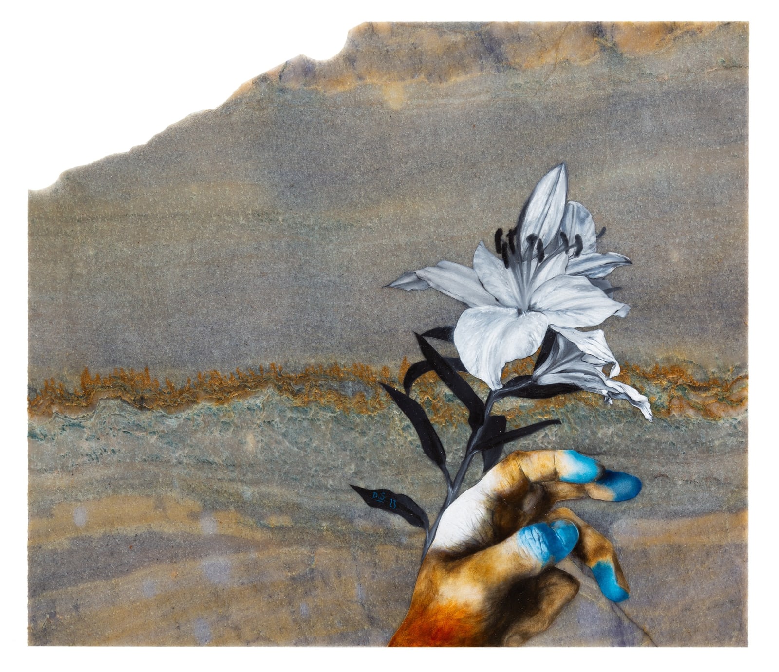 Daniel SCHLIER, Lys , 2023