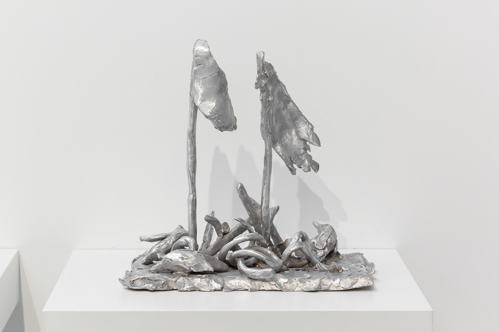 Nicolas SCHNEIDER, Le Regret de la Scance, 2025