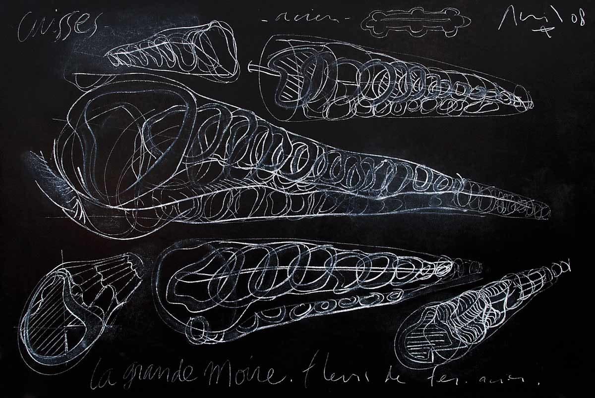 Pascal BAZILE, La grande moire, fleurs de fer , 1996