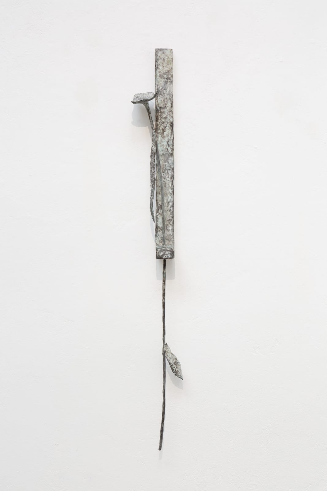 Nicolas SCHNEIDER, Instant de paysage, Mossa, 2025