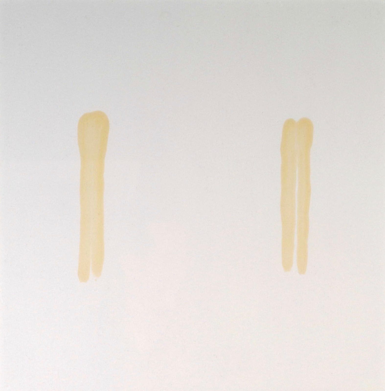Claude Chaussard, details of Emergence Résurgence , 2019