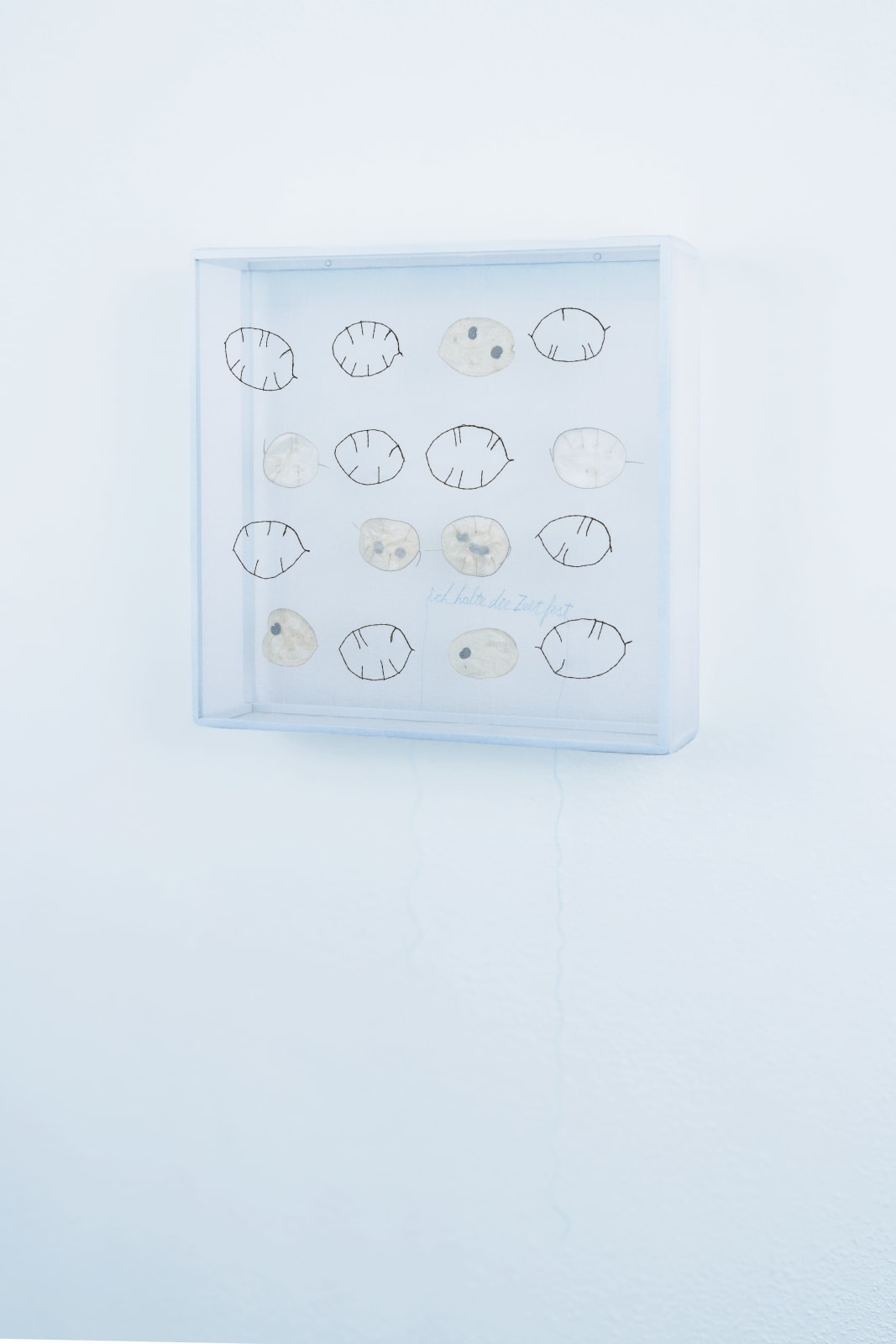 Sheila Furlan, Erinnerungen – ich halte die Zeit fest, 2026