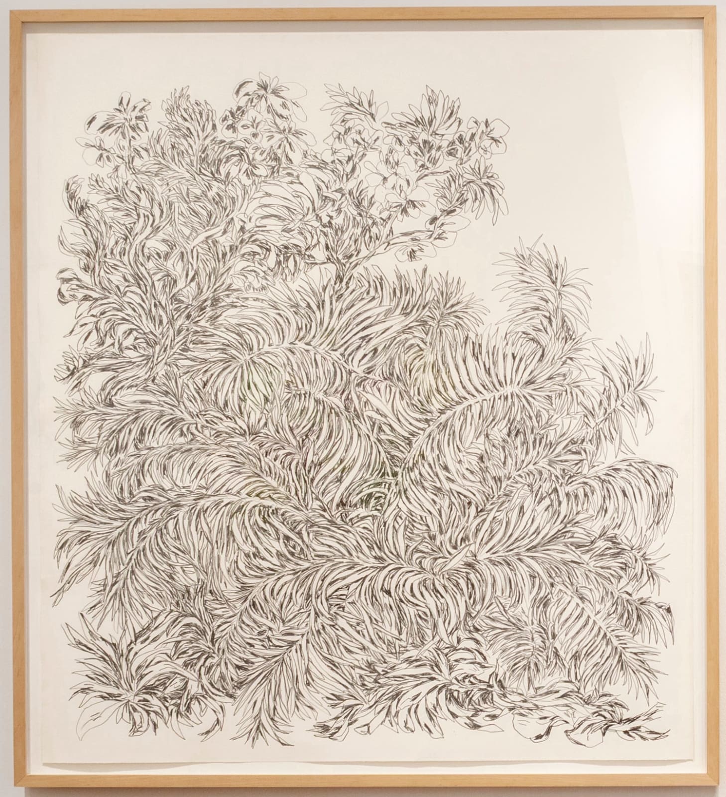 Ingo Fröhlich, Palmengarten I, 2016