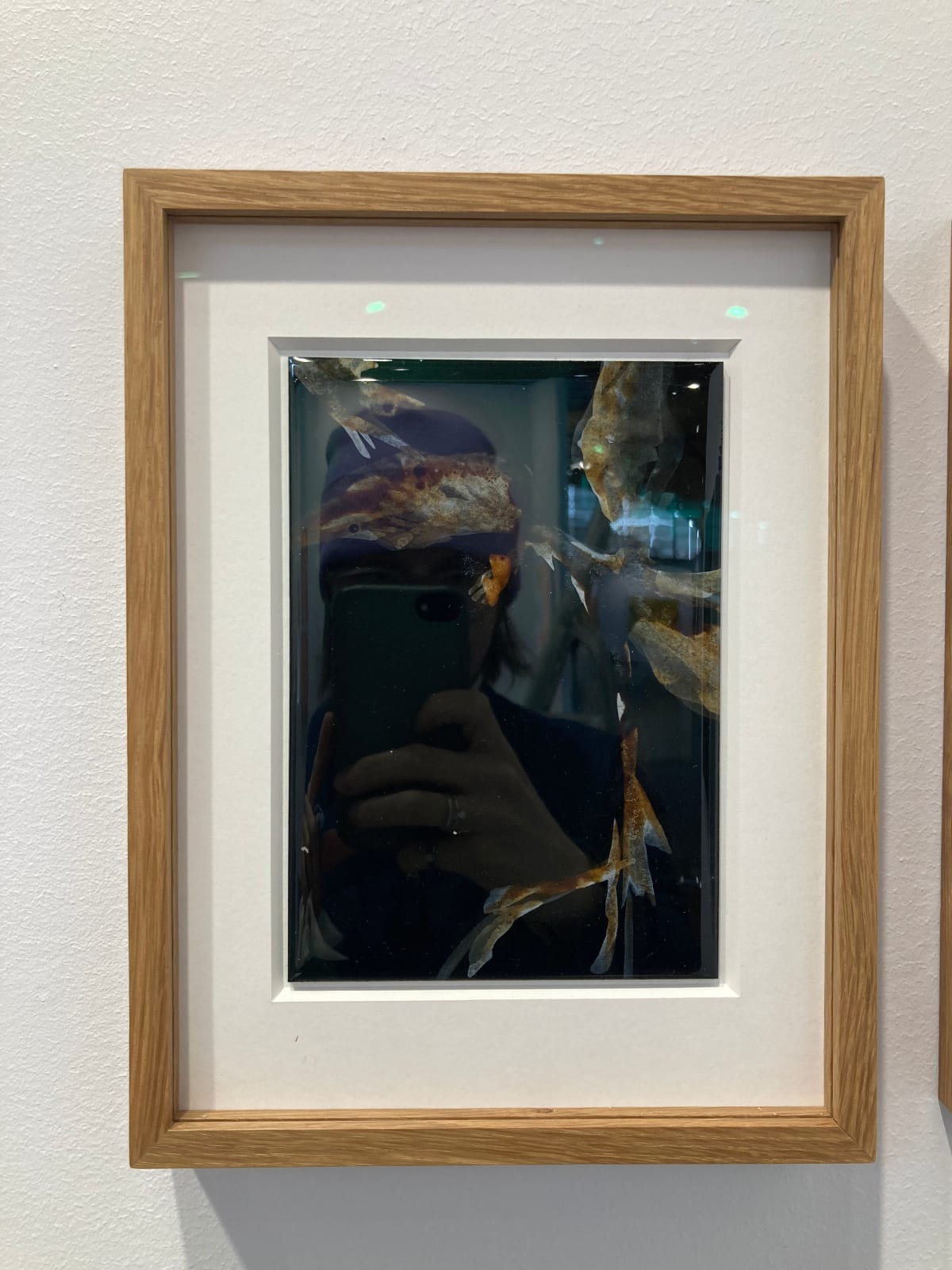 Christine Brunella, Frühe Dunkelheit (R2511), 2025