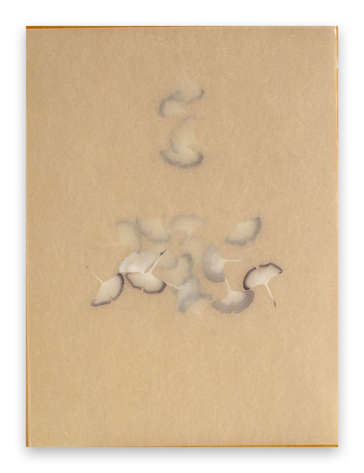 Christine Brunella, Poem (R2556), 2025