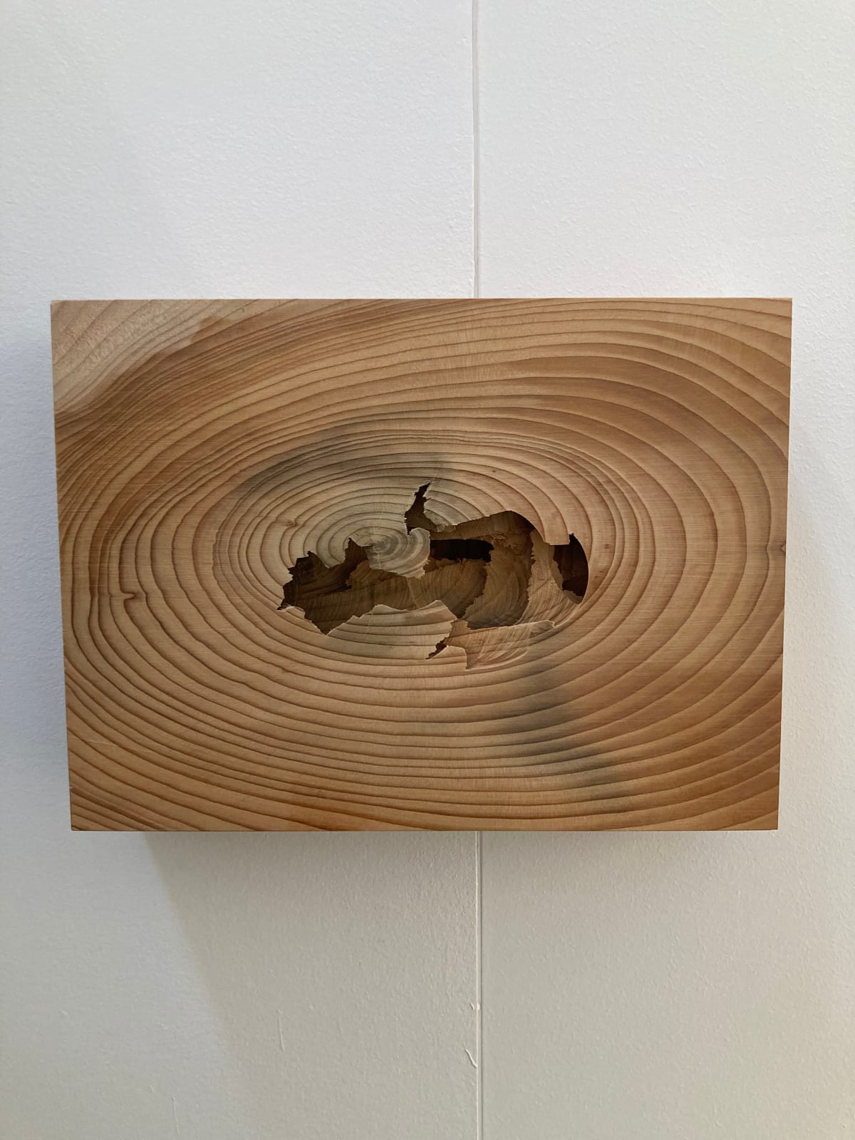 Stephan Wurmer, Aus meinem archäologischen Tagebuch, 2024