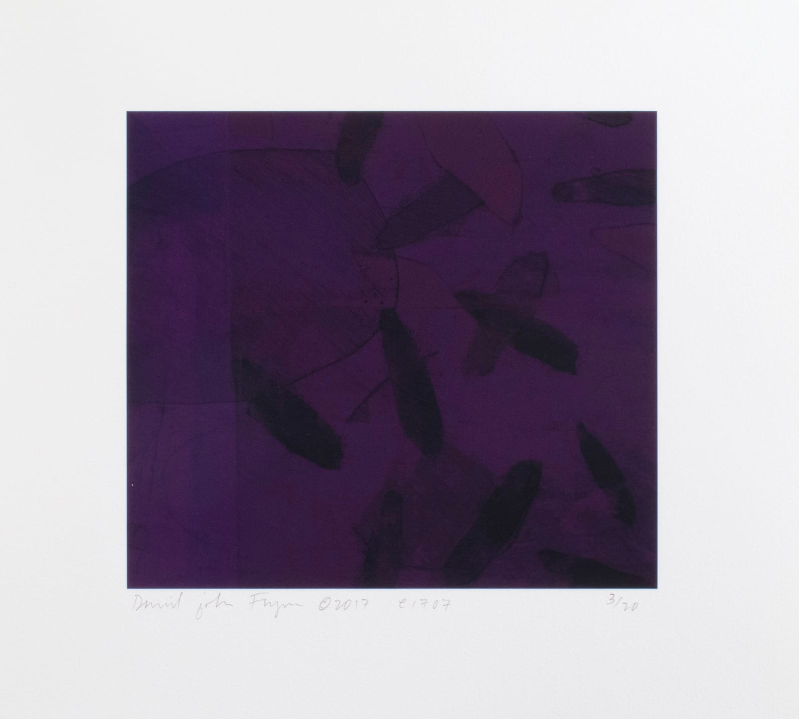 David John Flynn, e-1707, 2017