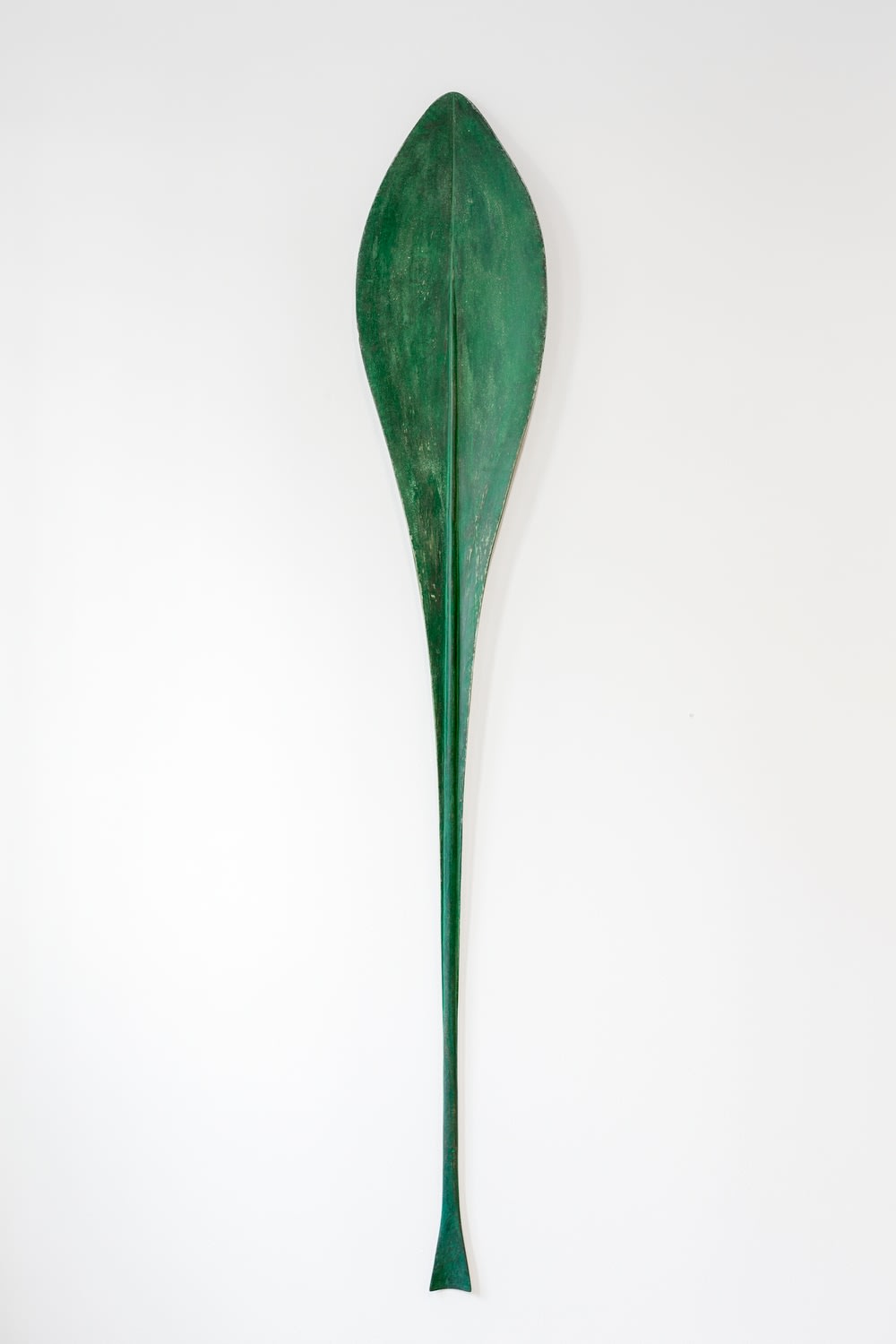 Paul Diestel, Taraxacum (Löwenzahn), 2018