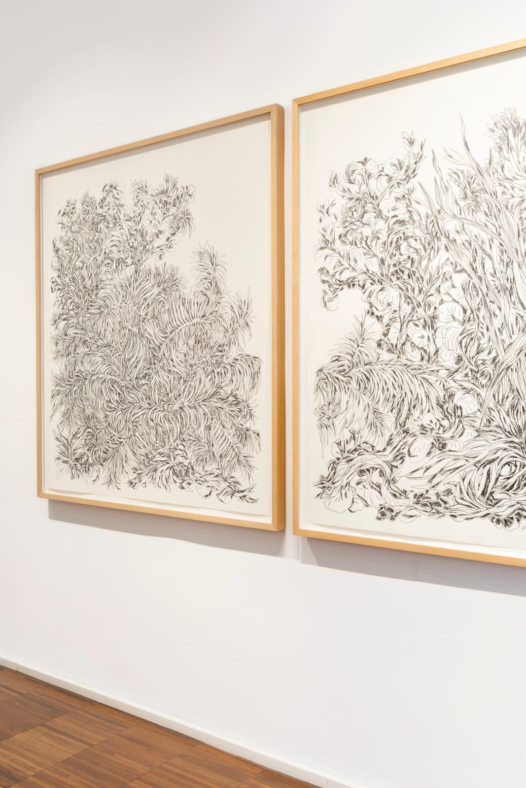 Ingo Fröhlich, Palmengarten I, 2016