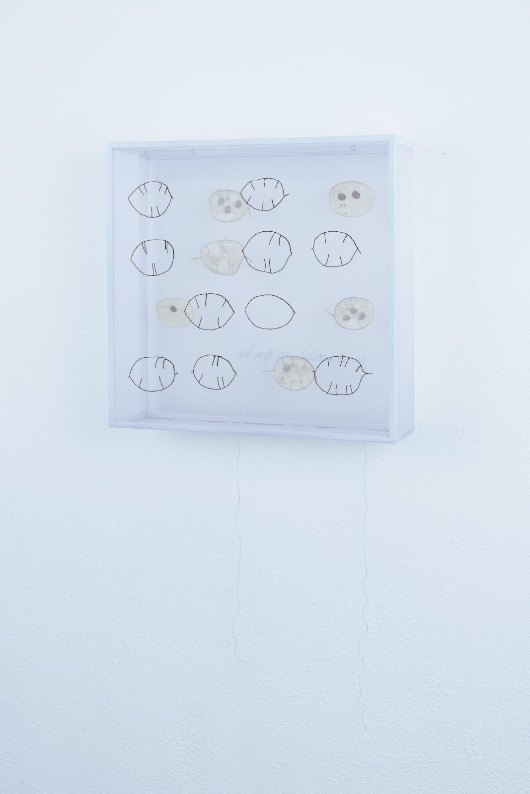 Sheila Furlan, Vision – ich werfe einen Schatten voraus, 2026