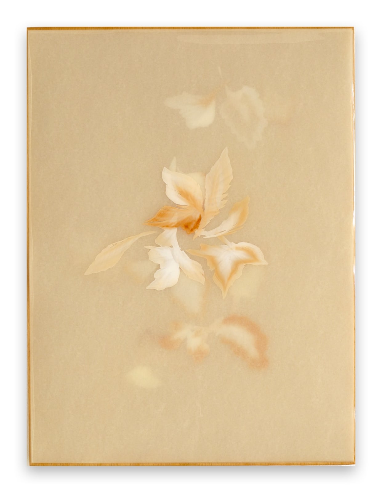 Christine Brunella, Poem (R2560), 2025