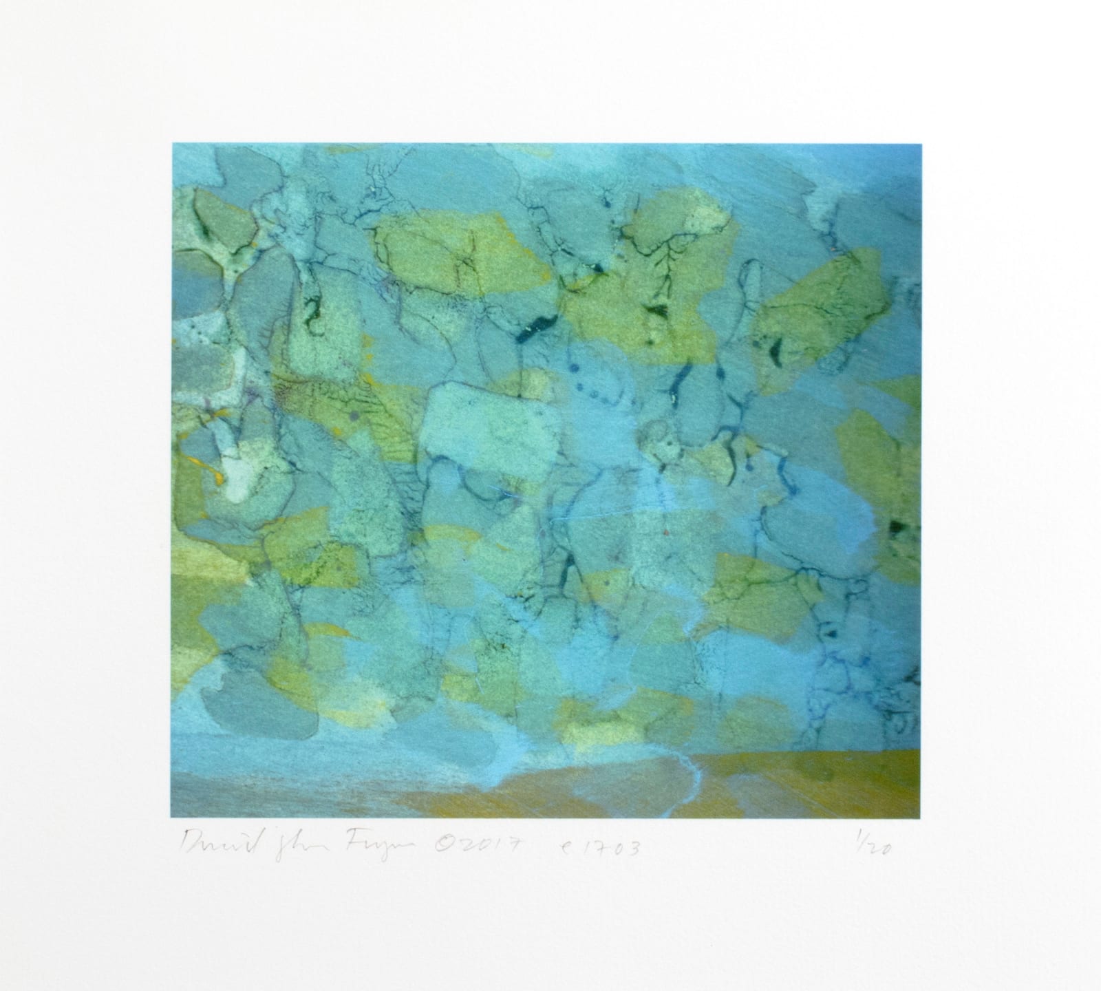 David John Flynn, e-1703, 2017