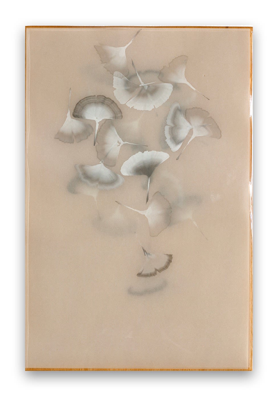 Christine Brunella, Poem R2424, 2024