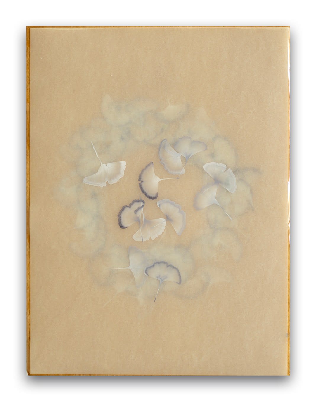 Christine Brunella, Poem (R2523), 2025