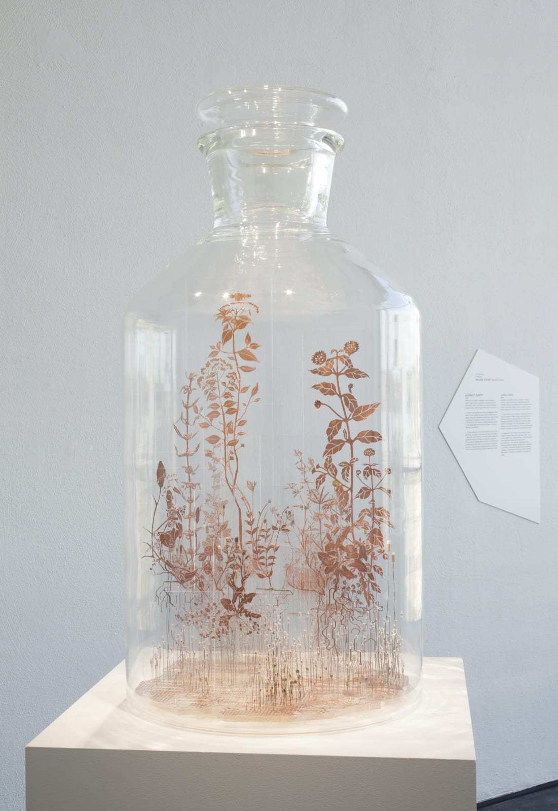 Nandita Kumar, The Unwanted Ecology , 2017