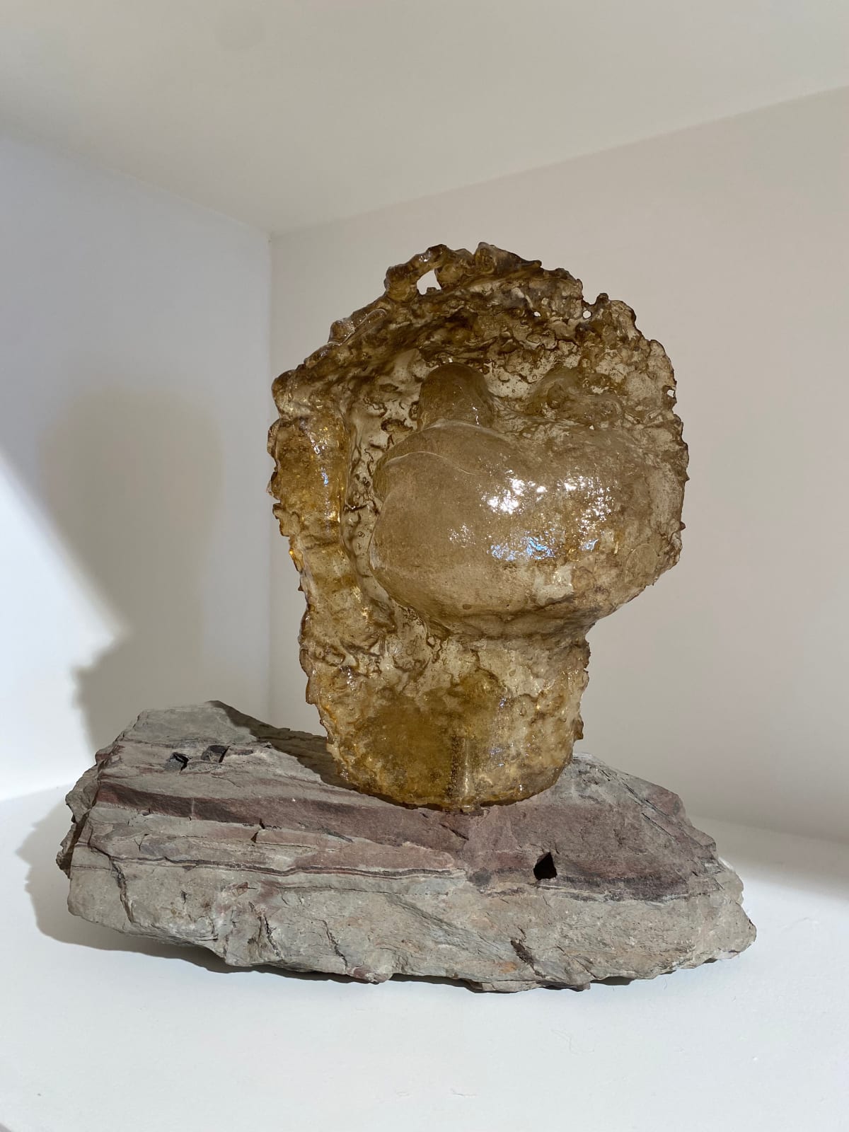 Ratna Gupta, I believe in fairies, 2010